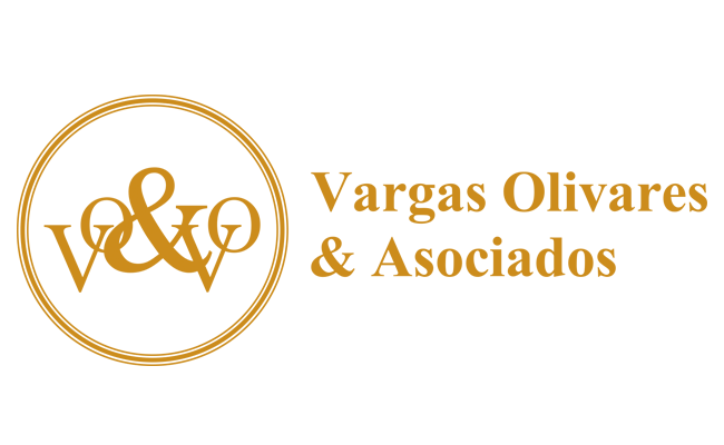 Vargas Olivares & Asociados